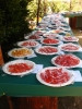 2011-10-06_100545_74_img_4634_tomato_tasting_682x1024.jpg