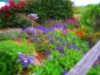 2021-06-14_100842_74_childrens_garden_img_1032_05.jpg