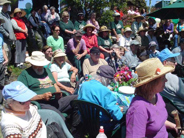 Crowd