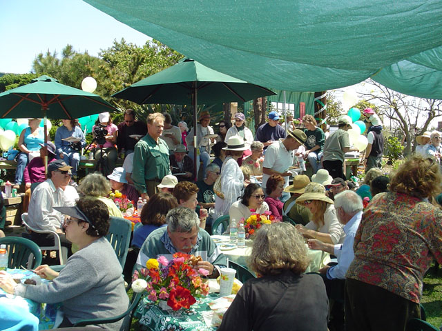 Crowd3