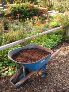 Compost