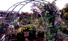 Arbor