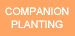 Companion Planting