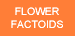Flower Factoids