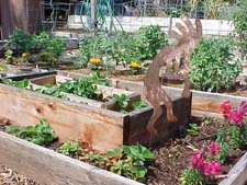 Raised Beds