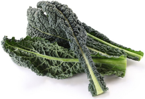 Tuscan Kale