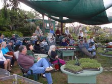 Tomato-bration 2009
